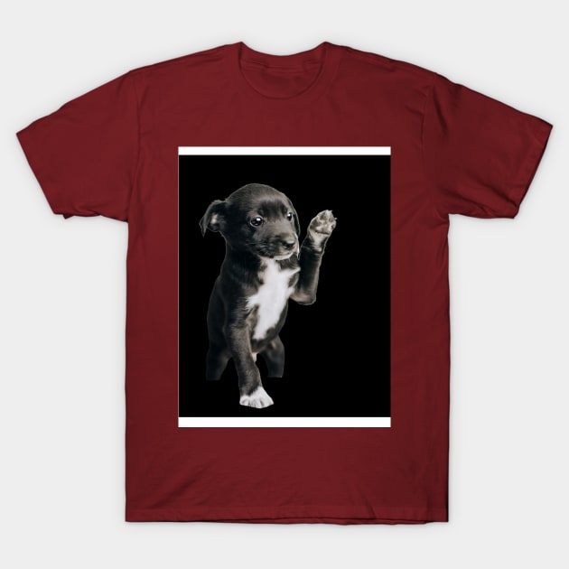 Black puppie T-Shirt by KA&KO